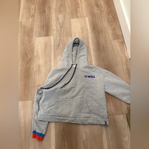 Madewell x Kule O Well Graphic Cropped Hoodie